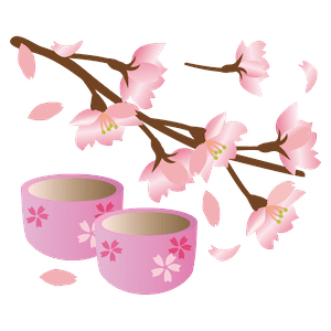久慈川河川地的樱花树将盛装迎客！