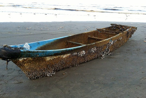 美国西海岸发现日本漂流船 5条石鲷鱼至今存活
