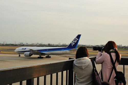 日本“空美小姐”增加 爱好拍摄飞机
