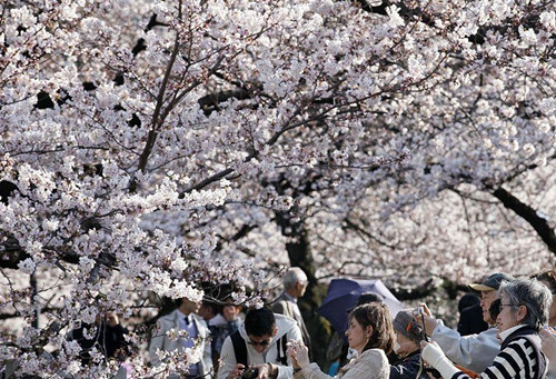 4月访问日本外国人数创单月新高