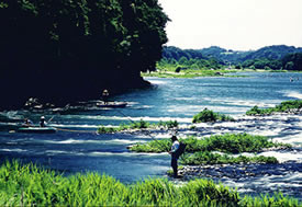 相模河