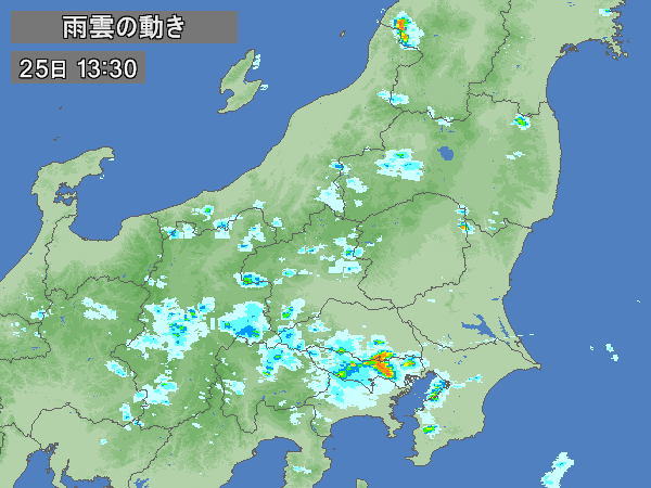 日本气象厅发布东京和埼玉大雨警报