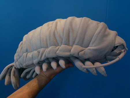 日本水族馆推出巨大具足虫布偶引话题