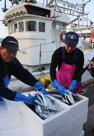 今年首批秋刀鱼上市 渔获量少价格偏高