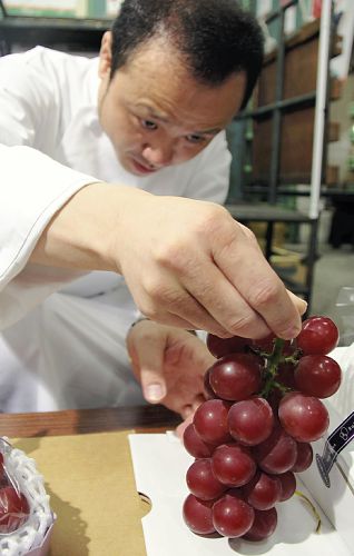 日本石川县葡萄拍出天价 一串40万日元