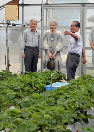 日本天皇、皇后造访农家 视察草莓种植
