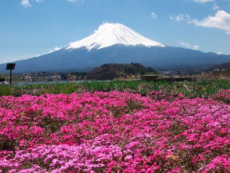 静冈、山梨县拟发布准则 除7~8月外限制攀登富士山