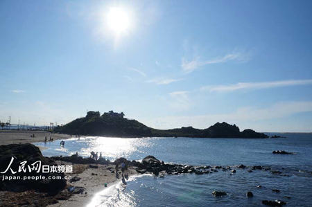 青森县芜岛  与黑尾鸥共享天空海洋