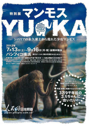 猛犸象“YUKA”展横滨举办 为首次世界公开