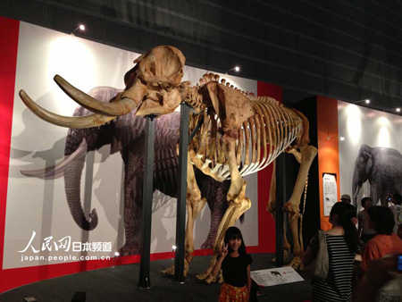 猛犸象“YUKA”展横滨举办 为首次世界公开