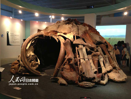 猛犸象“YUKA”展横滨举办 为首次世界公开