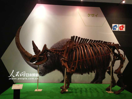 猛犸象“YUKA”展横滨举办 为首次世界公开