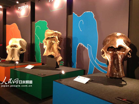 猛犸象“YUKA”展横滨举办 为首次世界公开