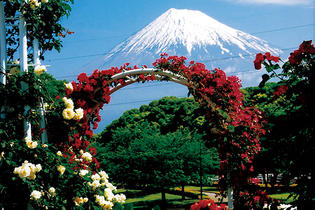 八大欣赏富士美景的绝佳场所