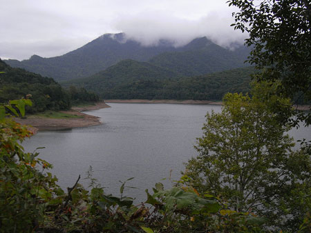盛夏北海道 金山湖畔的“普罗旺斯”