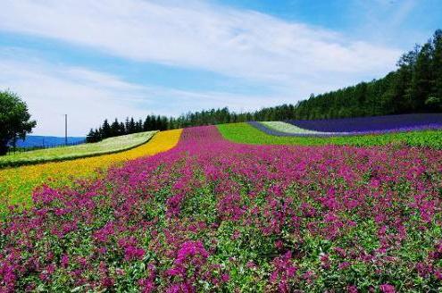 北海道人气旅行地推荐