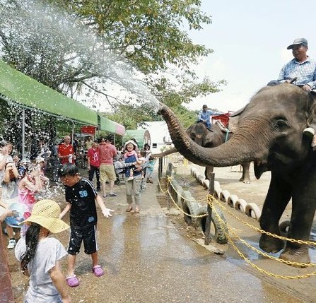 千叶县市原市动物园大象喷水与游客嬉戏