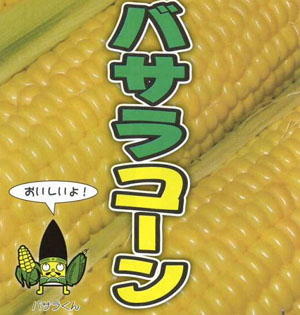浪冈“婆娑罗”玉米