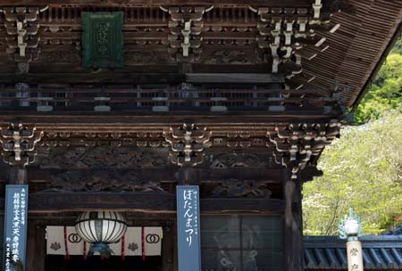 东瀛风情 长谷寺花之旅 日本通 东瀛风情 长谷寺花之旅 日本通