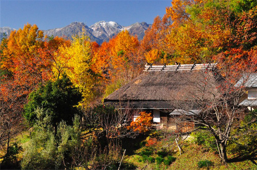 寻找日本最美的村庄