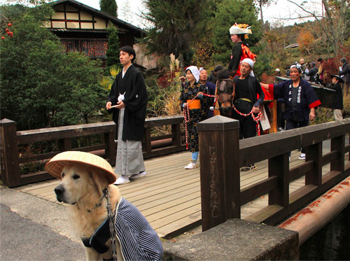 寻找日本最美的村庄