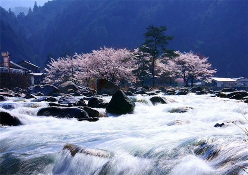 寻找日本最美的村庄