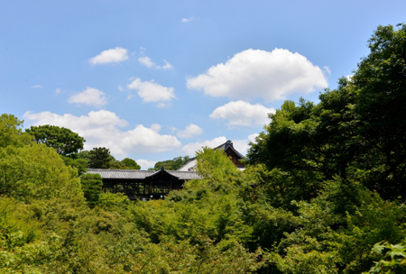 薄紫之凉天得院