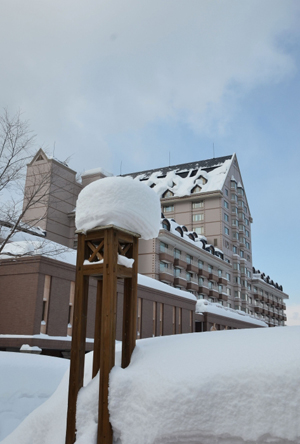 冬天就要这样玩——北海道雪中游
