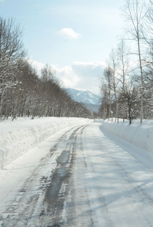 冬天就要这样玩——北海道雪中游