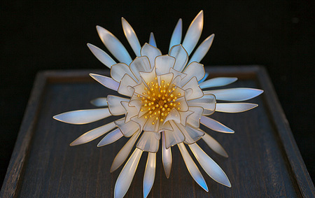 发间留“花” 定格最美瞬间