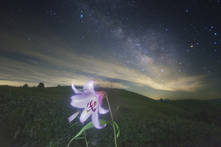 摄影作品欣赏：宫坂雅博镜头下的星空（组图）