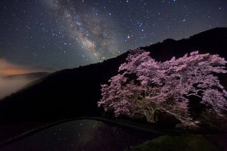 摄影作品欣赏：宫坂雅博镜头下的星空（组图）