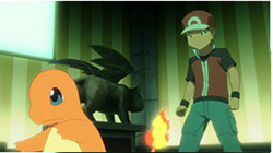 口袋妖怪红绿复活！10月12日动画化