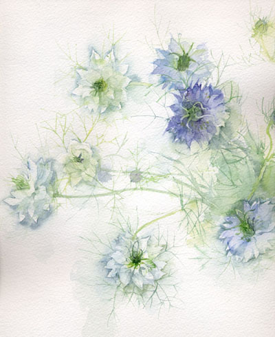 木下美香的花语人间 日本通