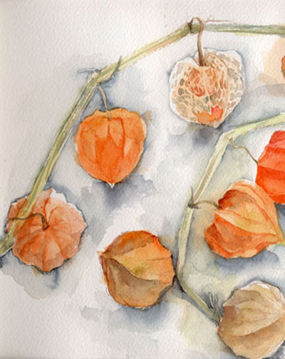 木下美香的花语人间 日本通