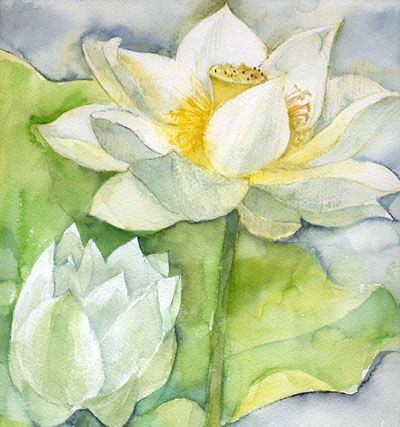 木下美香的花语人间 日本通