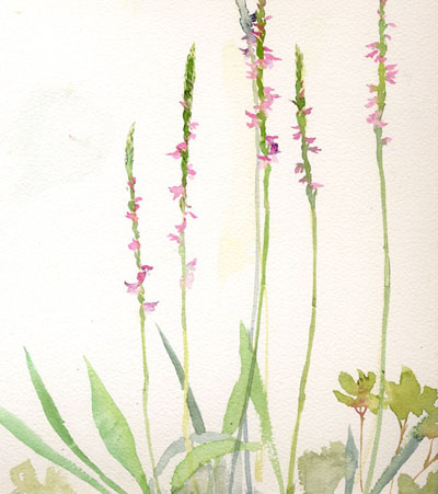 木下美香的花语人间 日本通