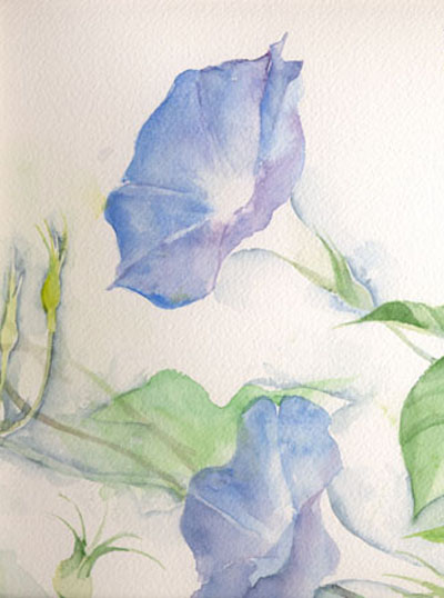 木下美香的花语人间 日本通