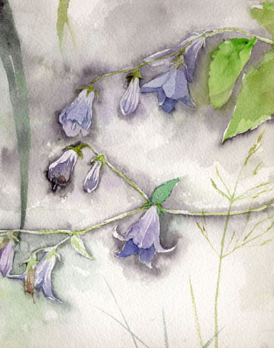 木下美香的花语人间 日本通