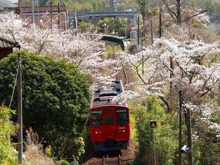 今晚住这里——大分汤平温泉・花灯り