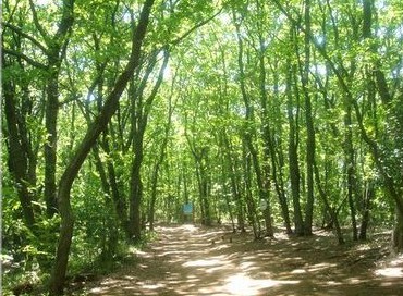 你所不知道的吉卜力圣地巡礼