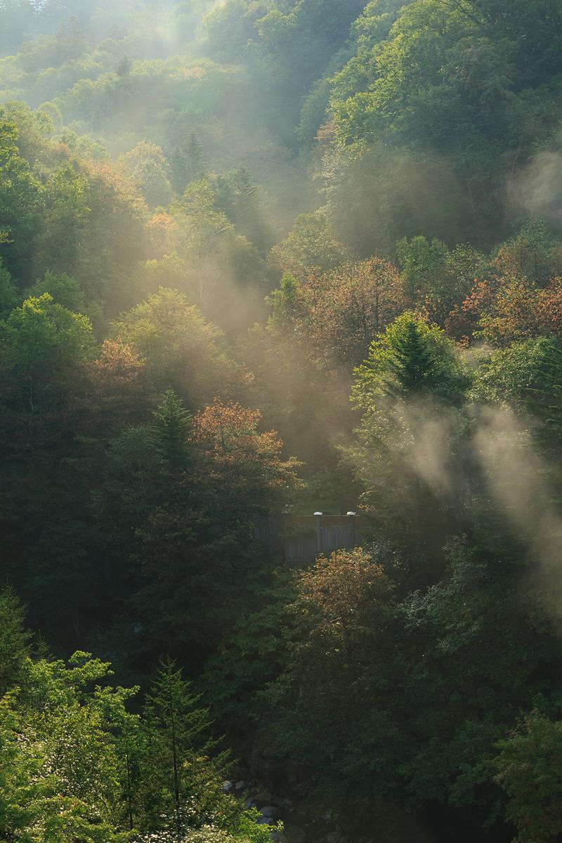 北海道美瑛川间如诗般的风景画