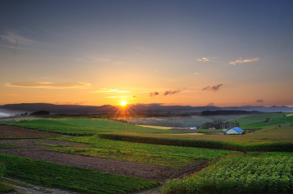 北海道美瑛川间如诗般的风景画