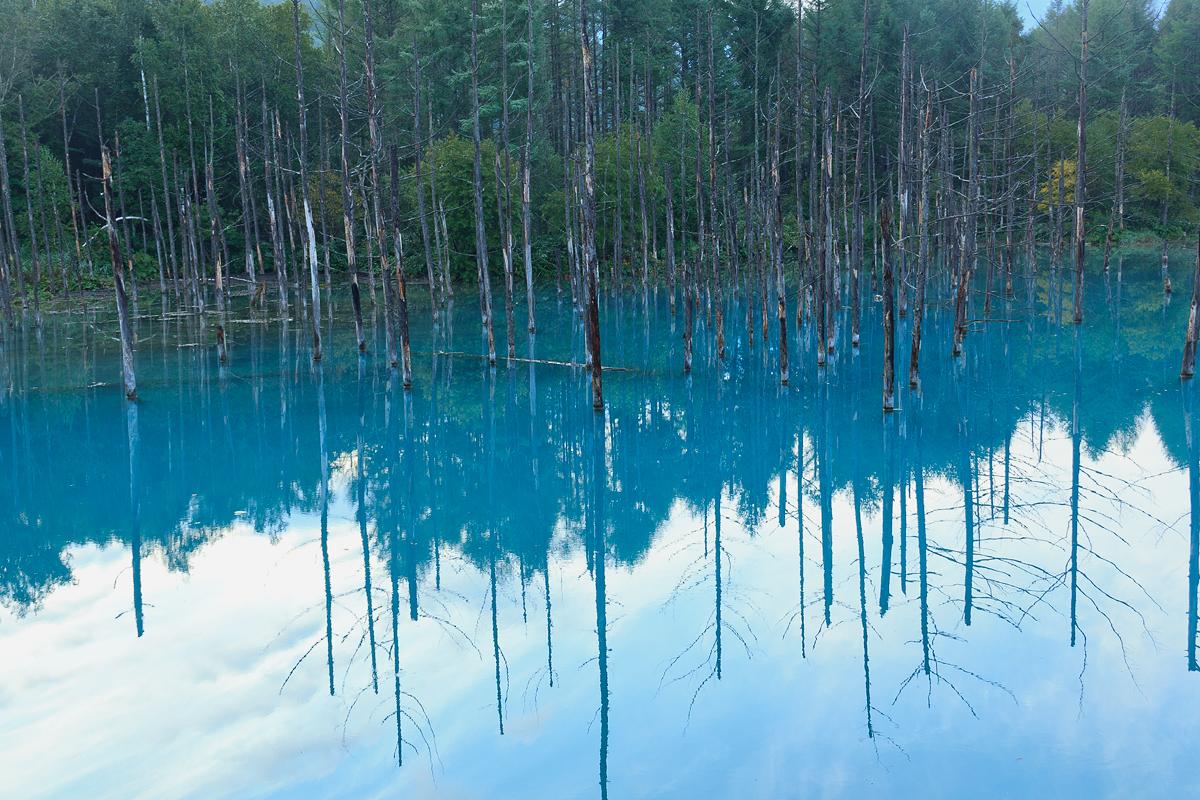 北海道美瑛川间如诗般的风景画