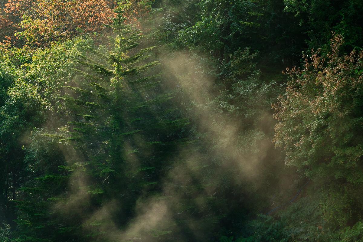 北海道美瑛川间如诗般的风景画