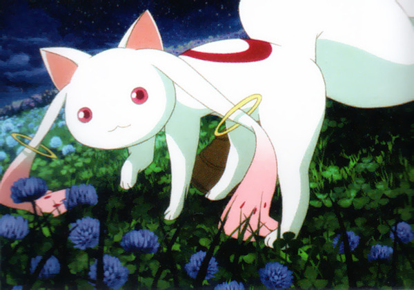 小圆叛逆物语制作中 工作室影像公开