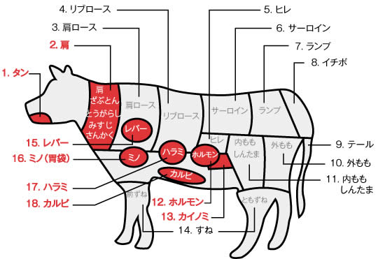 而这次介绍的平价美味松阪牛肉料理店采用的ホルモン部分是位于牛内脏