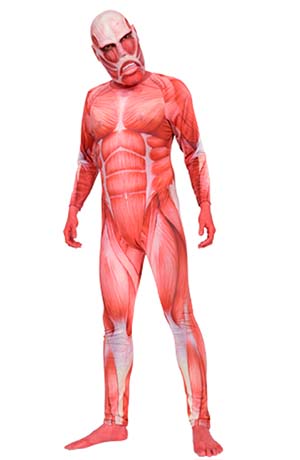 吉祥物大赛 桃猫猫得第一就做玉响新动画