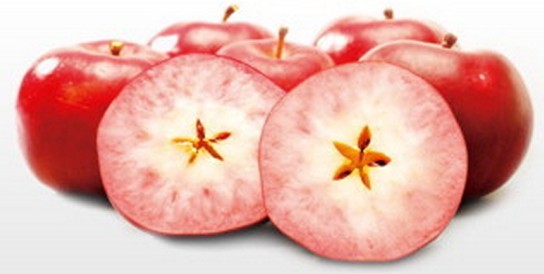 青森县红色果肉苹果品种“红之梦”开始苗木销售