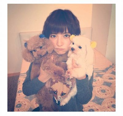 篠田麻里子发推透露爱犬去世粉丝组团安慰 日本通 篠田麻里子发推透露爱犬去世粉丝组团安慰 日本通